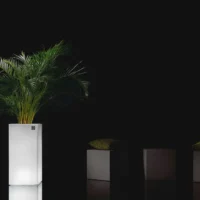 Vaso Loto di Lyxo per esterni ed interni