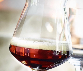 Calice Mini Teku da degustazione birra: il calice definitivo per i veri intenditori (6 pz)