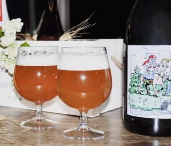 Calice Balloon Infrangibile da Birra da 400cc, l’esperienza perfetta per gli amanti della birra (6 pz)