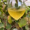 Calice vino in plastica dura o Tritan